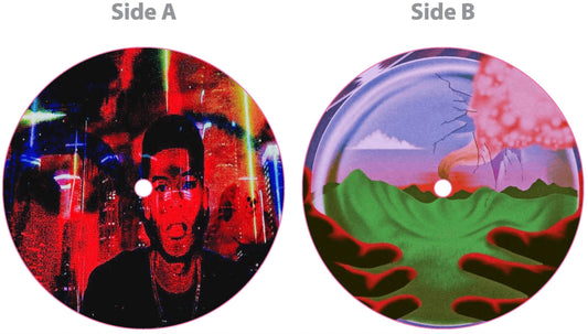 AiN'T A SOUL HOME? – Vinyl